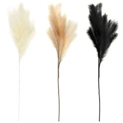 B&M Pampas Stem - Natural 7 B&M Pampas Stem - Natural -Home Furnishings Store 372800 395541 394382 pamas stem group