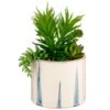 B&M Succulent In Blue Drip Pot -Home Furnishings Store 380106 succulent in blue drip pot