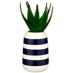 B&M Small Succulent -Home Furnishings Store 380107 small succulent 3