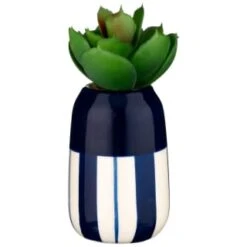B&M Small Succulent -Home Furnishings Store 380107 small succulent 5