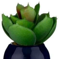 B&M Small Succulent -Home Furnishings Store 380107 small succulent 6