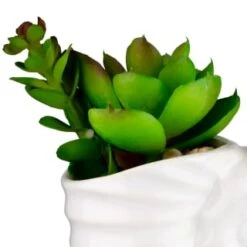 B&M Scandi Shore Small Shell Succulent 16 B&M Scandi Shore Small Shell Succulent -Home Furnishings Store 380110 small shell succulent 2
