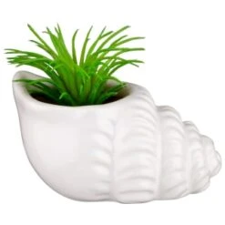 B&M Scandi Shore Small Shell Succulent 12 B&M Scandi Shore Small Shell Succulent -Home Furnishings Store 380110 small shell succulent 4