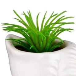 B&M Scandi Shore Small Shell Succulent 18 B&M Scandi Shore Small Shell Succulent -Home Furnishings Store 380110 small shell succulent 5