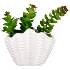 B&M Scandi Shore Small Shell Succulent 13 B&M Scandi Shore Small Shell Succulent -Home Furnishings Store 380110 small shell succulent 7