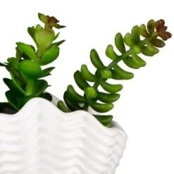 B&M Scandi Shore Small Shell Succulent 19 B&M Scandi Shore Small Shell Succulent -Home Furnishings Store 380110 small shell succulent 8