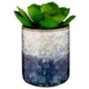 B&M Scandi Shore Succulent -Home Furnishings Store 380125 scandi succulent