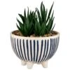 B&M Scandi Shore Stripe Succulent -Home Furnishings Store 380604 scandi shore stripe succulent 3