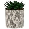 B&M Succulent In Botanist Print Pot - Green -Home Furnishings Store 380608 patterened pot with succulent