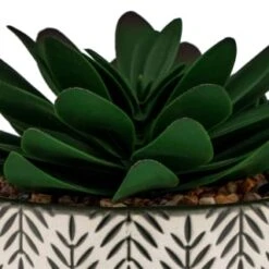 B&M Succulent In Botanist Print Pot - Green -Home Furnishings Store 380608 patterened pot with succulent 2