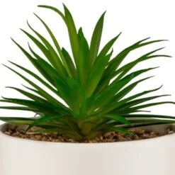 B&M Scandi Shore Succulent In White Pot -Home Furnishings Store 380696 succulent in white pot 2