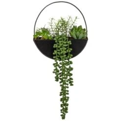 B&M Eden Life Round Trailing Plant