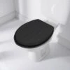 B&M Tongue & Groove Toilet Seat - Black 1 B&M Tongue & Groove Toilet Seat - Black -Home Furnishings Store 383098 t and g toilet seat black