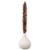 B&M Pink Pampas In Ribbed Vase 2 B&M Pink Pampas In Ribbed Vase -Home Furnishings Store 387522 pink pampas in ribbed vase