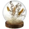 B&M Dried Pampas In Sphere 1 B&M Dried Pampas In Sphere -Home Furnishings Store 387526 dried pampas in sphere