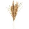 B&M Dried Grass Bunch -Home Furnishings Store 387541 dried grass bunch