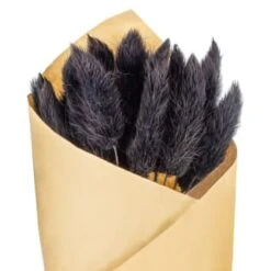 B&M Dried Black Bunny Tail Bunch -Home Furnishings Store 387543 dried black bunny tail bunch 2