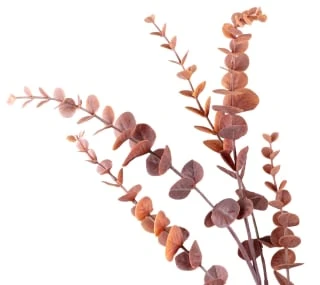 B&M Eucalyptus In Vase 4 B&M Eucalyptus In Vase - Image 2