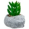 Bloom Mini Animal Succulent - Hedgehog 2 Bloom Mini Animal Succulent - Hedgehog -Home Furnishings Store 392859 mini animal succulent