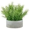 Bloom Large Green Foliage In Cement Pot -Home Furnishings Store 392861 large green foliage in cement
