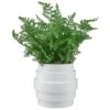 Bloom Premium Foliage In Cream Planter -Home Furnishings Store 392863 premium foliage in cream planter