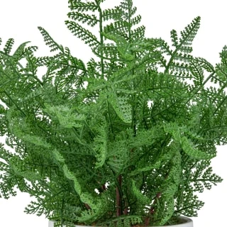 Bloom Premium Foliage In Cream Planter 4 Bloom Premium Foliage In Cream Planter - Image 2