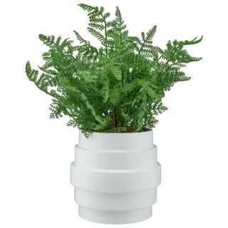 Bloom Premium Foliage In Cream Planter 3 Bloom Premium Foliage In Cream Planter