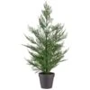 Bloom Conifer Tree In Plant Pot -Home Furnishings Store 392865 conifer tree in plant pot