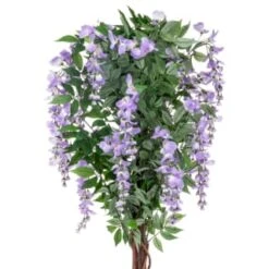 Bloom Wysteria Tree In Pot - Purple -Home Furnishings Store 392870 4ft wysteria tree purple 2