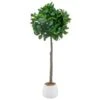 Bloom Premium Bay Tree -Home Furnishings Store 392873 premium bay tree