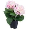 Bloom Hydrangea In Pot - Pink -Home Furnishings Store 392961 hydrangea in pot pink
