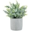 Bloom Eucalyptus In Cement Pot -Home Furnishings Store 392965 eucalyptus in cement pot