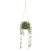 B&M Hanging Foliage In Green Ceramic Pot -Home Furnishings Store 394335 hanging green pot foliage
