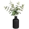 B&M Eucalyptus In Black Pot -Home Furnishings Store 394336 eucalyptus in black pot