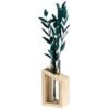 B&M Plant In Glass & Wooden Vase -Home Furnishings Store 394337 plant in glass and wooden vase