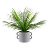 B&M Fern In Double Handle Pot -Home Furnishings Store 394340 fern in double handle pot