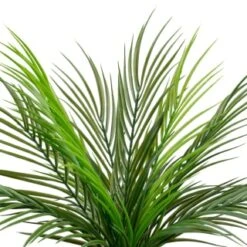 B&M Fern In Double Handle Pot -Home Furnishings Store 394340 fern in double handle pot 2