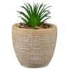 B&M Small Succulent Pot - Stone 2 B&M Small Succulent Pot - Stone -Home Furnishings Store 394663 small succulent stone