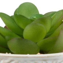 B&M Assorted Embossed Pots -Home Furnishings Store 394664 embossed pot 6